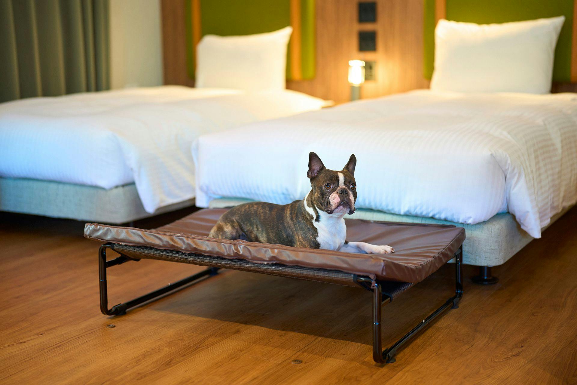 ห้องพัก