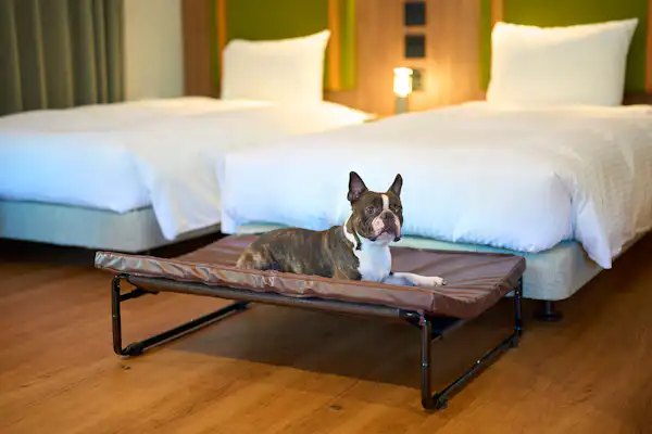 ห้องพัก