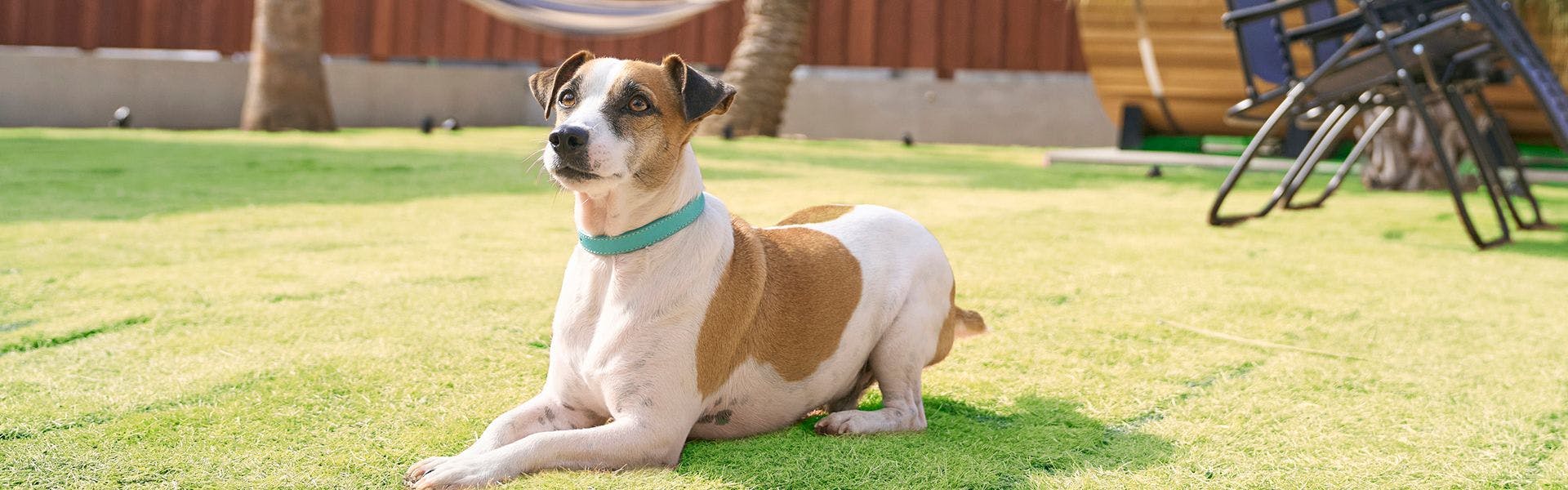 VILLA SENSE kujukuri