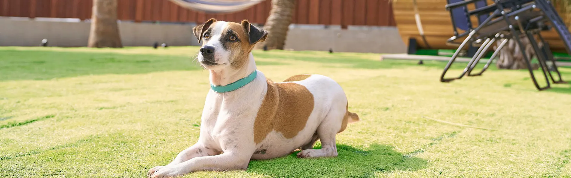 VILLA SENSE kujukuri