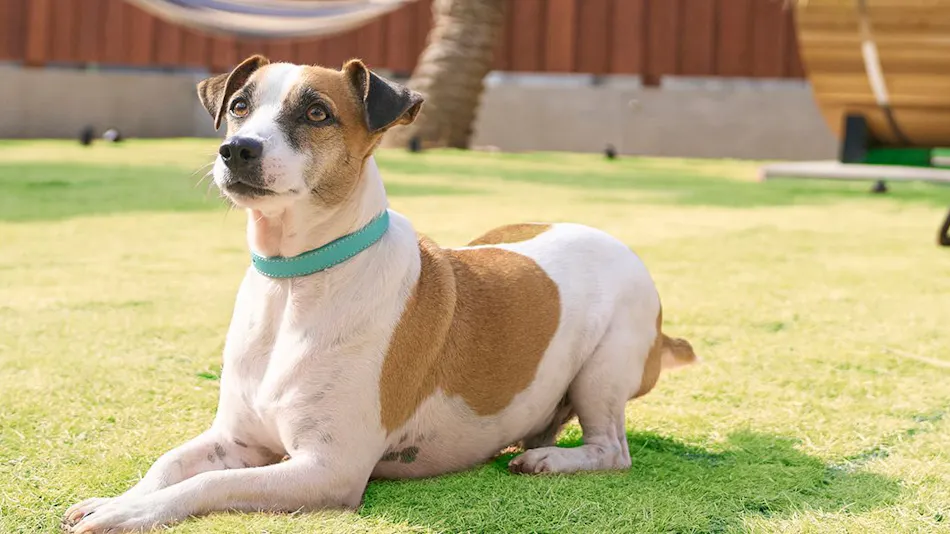 VILLA SENSE Kujukuri