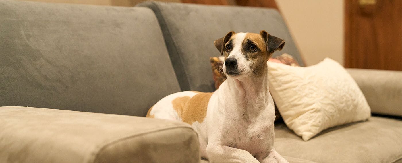 VILLA SENSE kujukuri