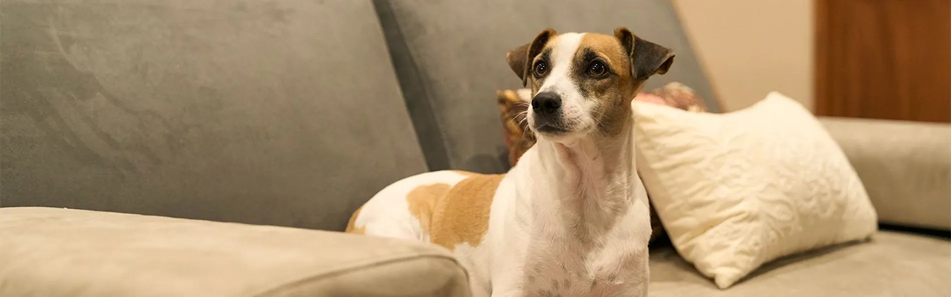 VILLA SENSE kujukuri