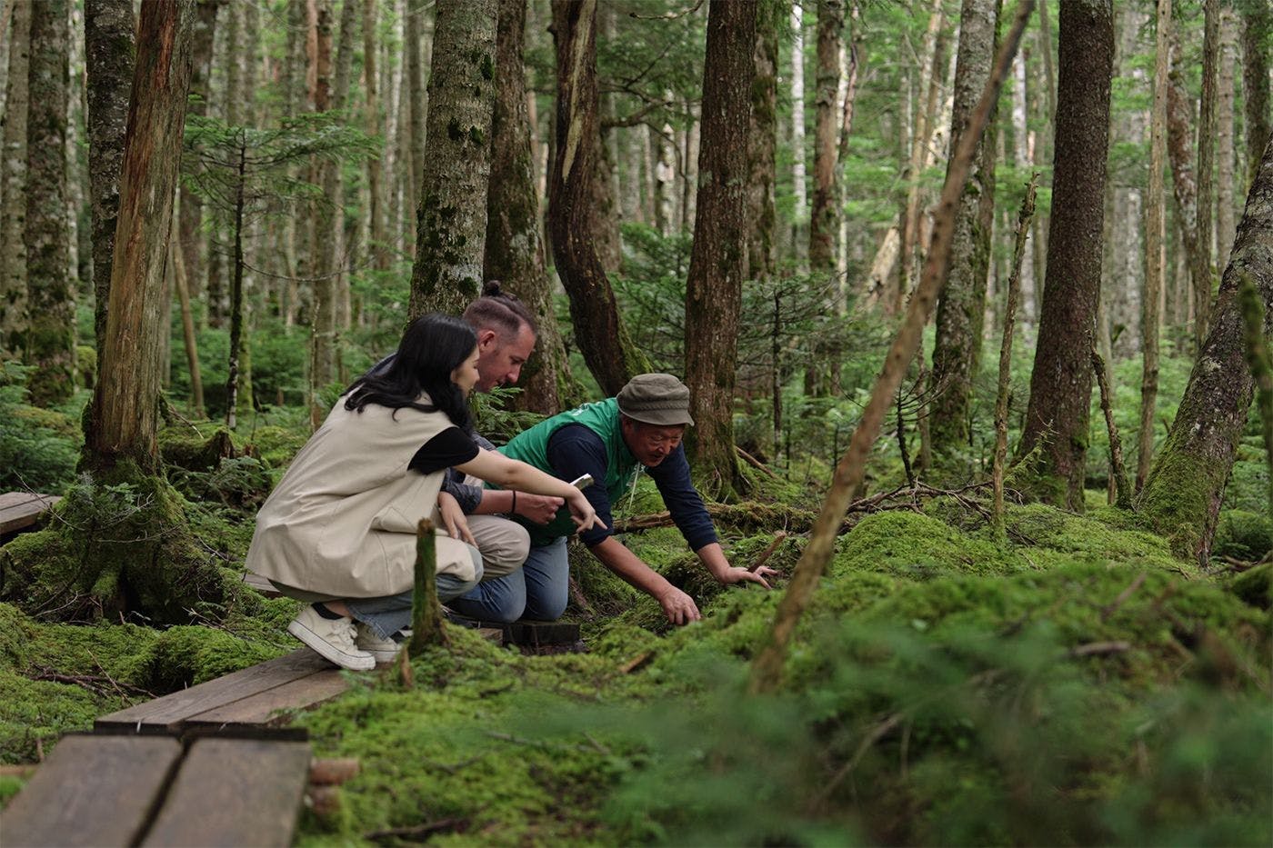 アクティビティ