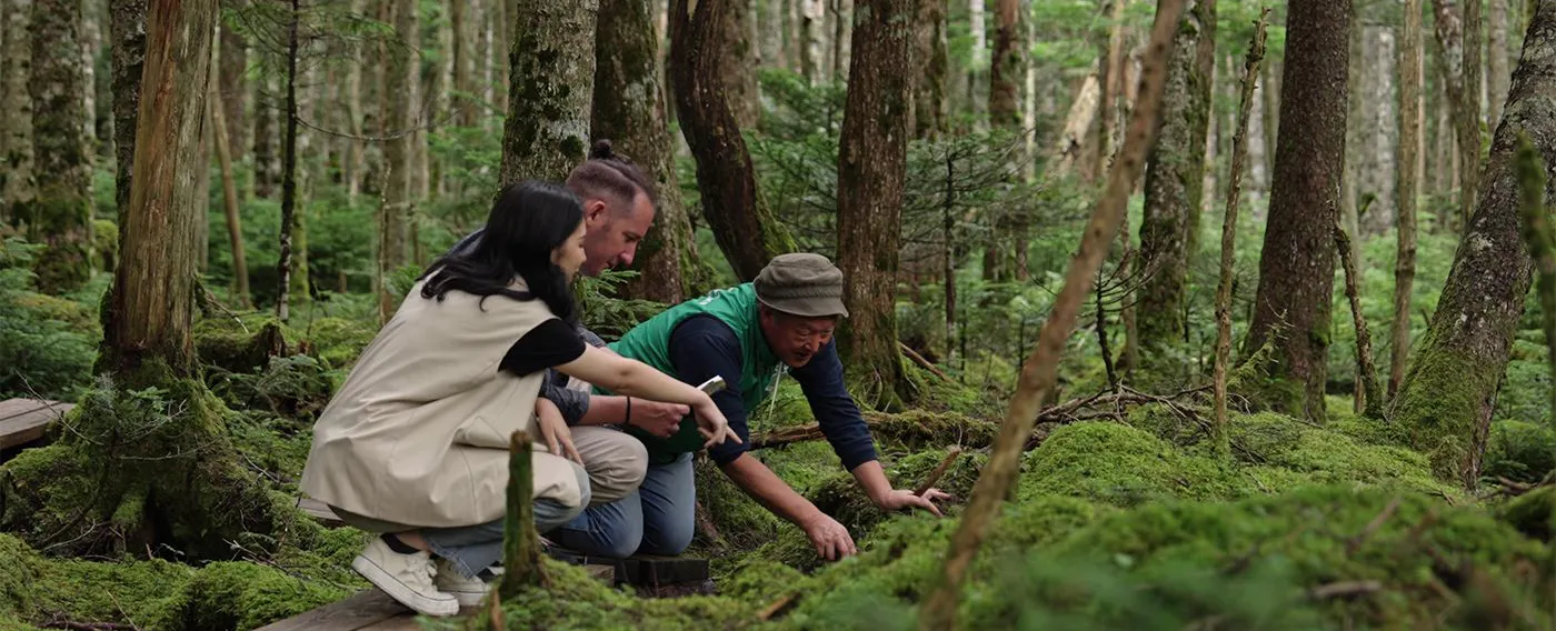 アクティビティ