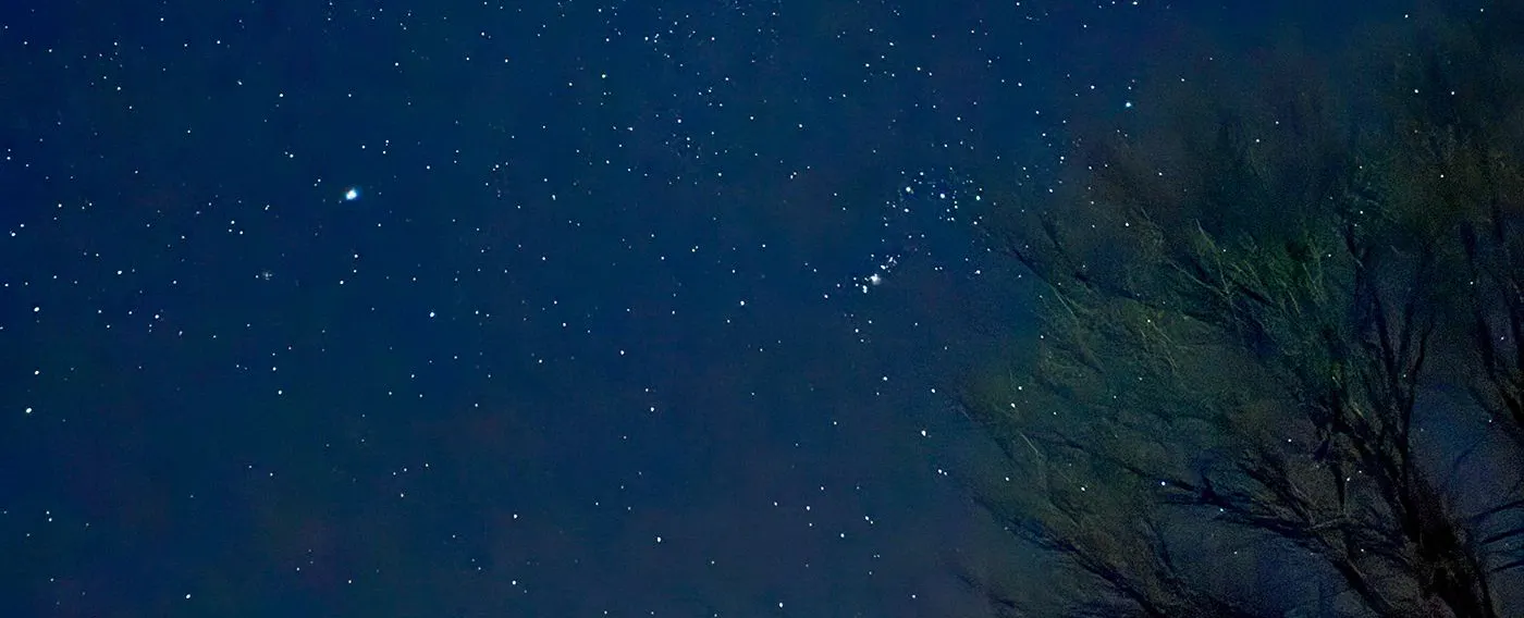 ท้องฟ้าที่เต็มไปด้วยดวงดาว