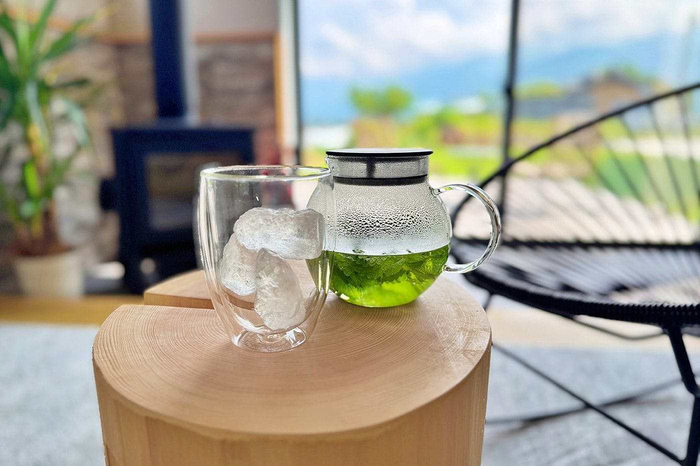 สวนสมุนไพร