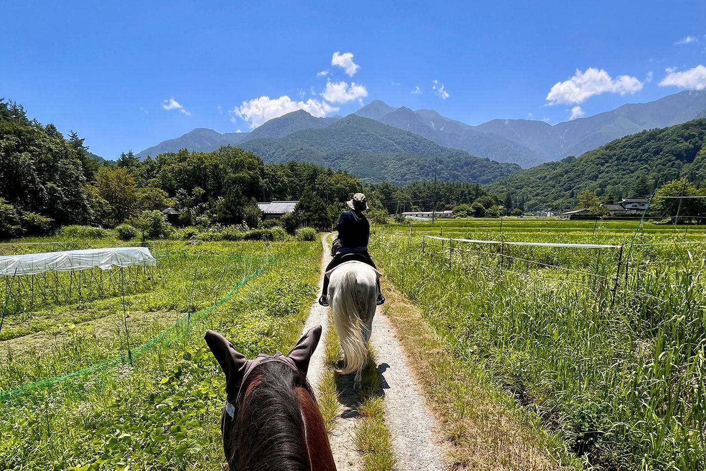 埜土香庵