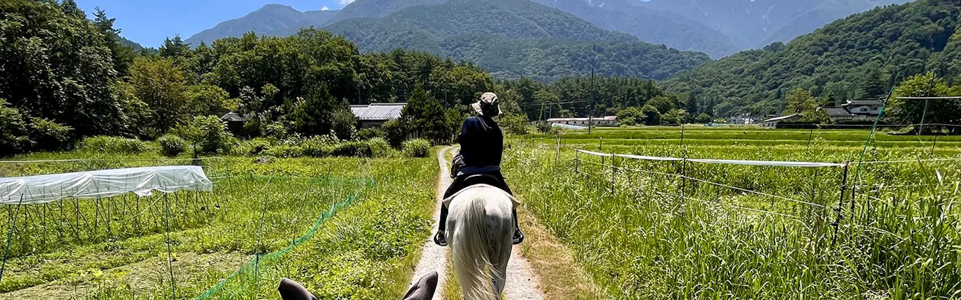 埜土香庵