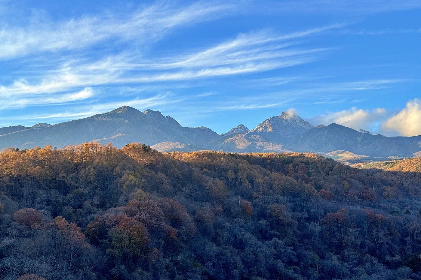 埜土香庵