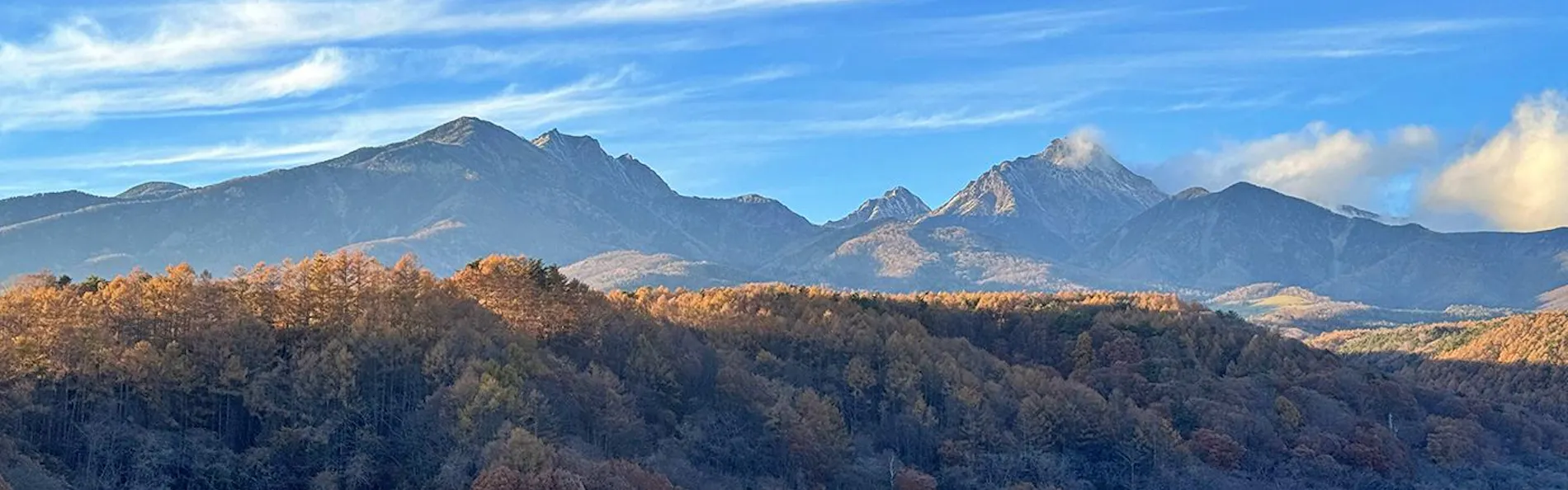 埜土香庵