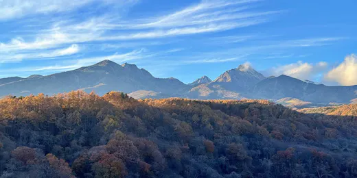 埜土香庵