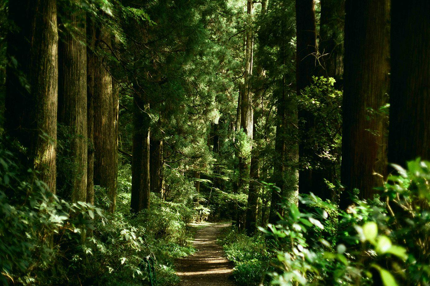 GEOSPOT MOTOHAKONE A