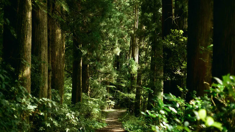 GEOSPOT MOTOHAKONE A