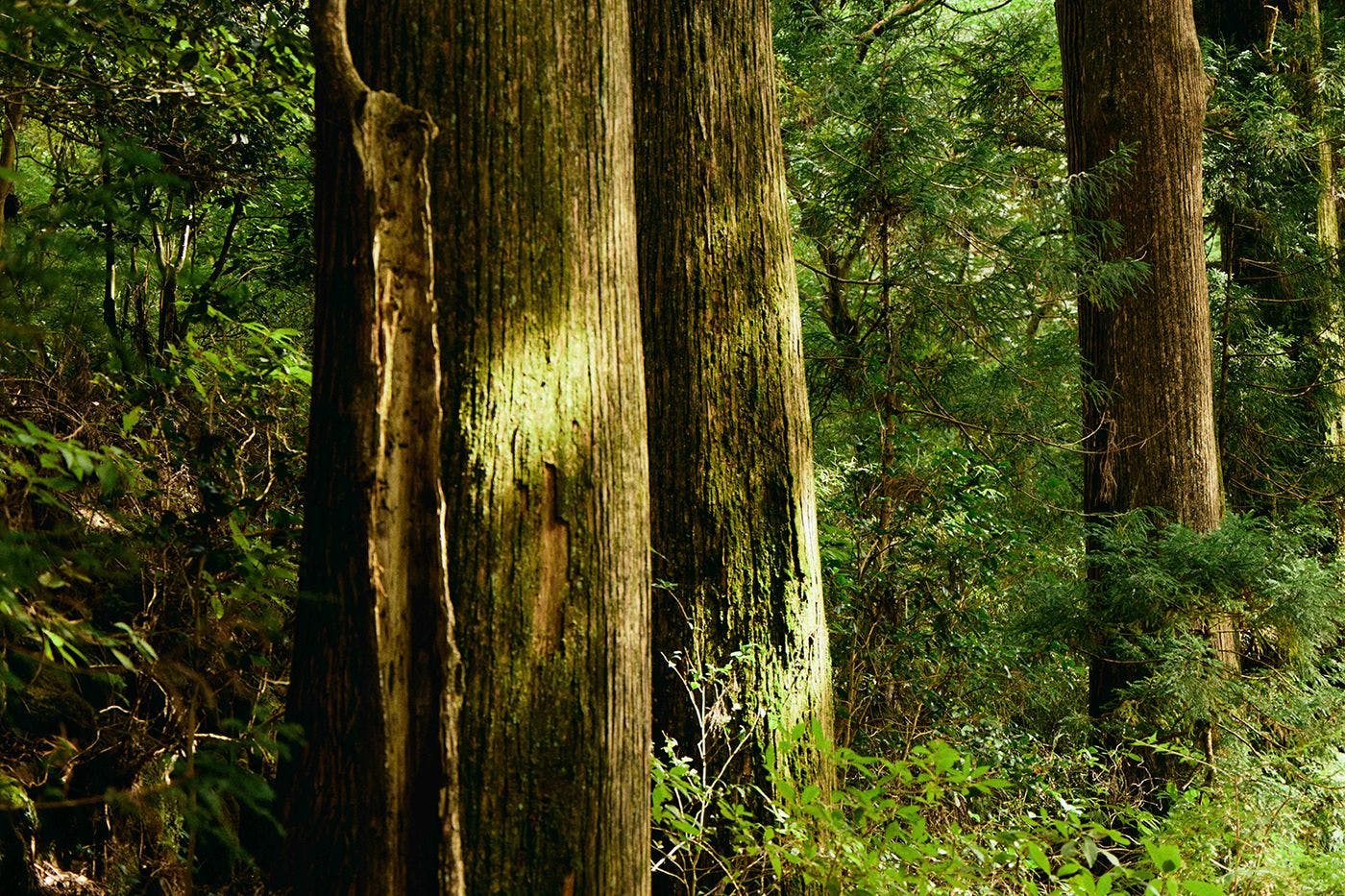 GEOSPOT MOTOHAKONE A