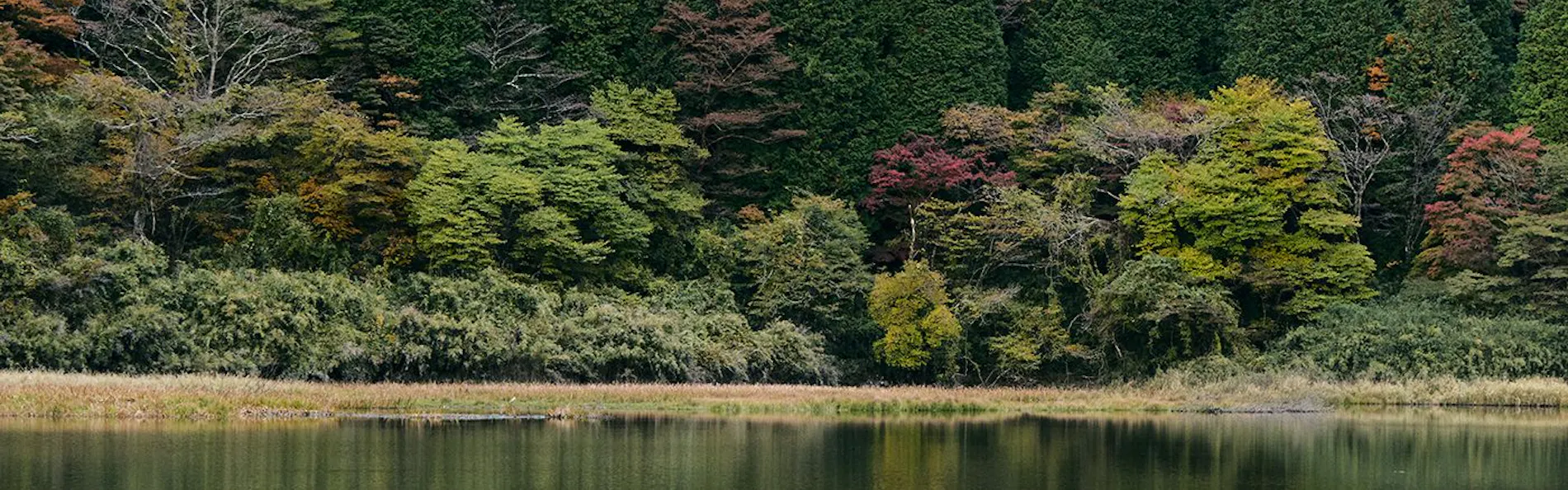 GEOSPOT MOTOHAKONE A