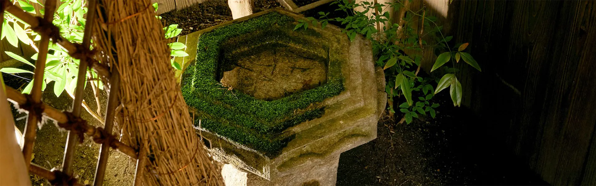 朱雀 ききょう庵