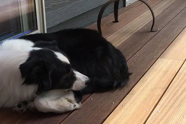 ภาพ a_ss05_180621.jpg