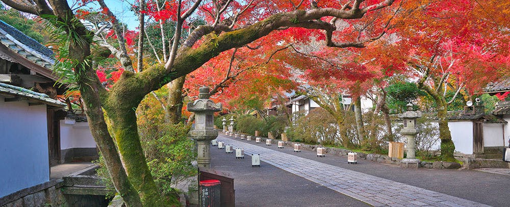 SETA・Terrace（セタ・テラス） - 宿泊予約 - 一休.com