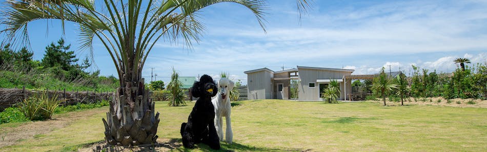 九十九里の40平米以上のお部屋 おすすめホテル 旅館 宿泊予約は 一休 Com 九十九里の40平米以上のお部屋 おすすめホテル 旅館 宿泊予約は 一休 Com
