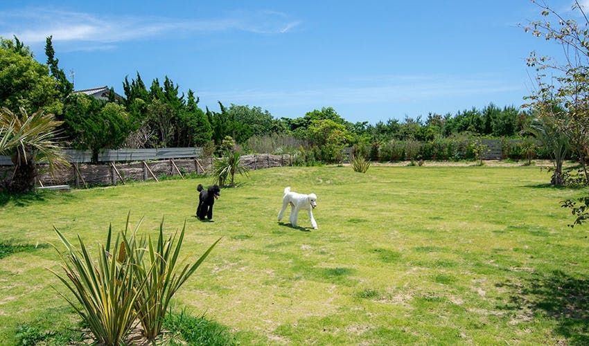 ドッグコテージ海の音 の宿泊プラン 宿泊予約は 一休 Com バケーションレンタル