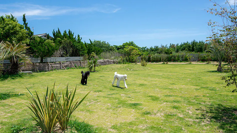 Dog Cottage Umi no Oto