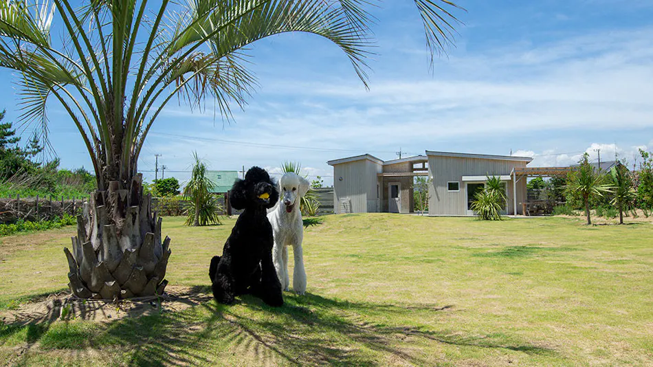 Dog Cottage Umi no Oto