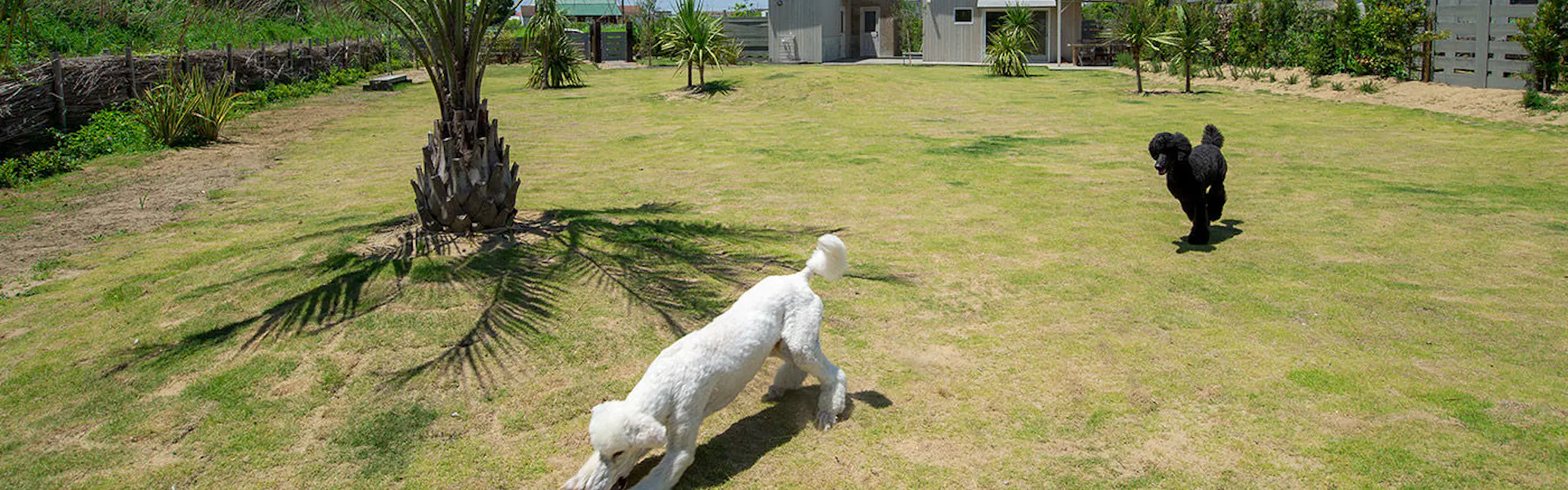 ドッグコテージ海の音