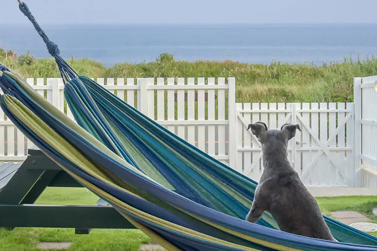 シーグラス白浜 の空室状況を確認する 宿泊予約は 一休 Com 宿泊予約は 一休 Com シーグラス白浜 の空室状況を確認する 宿泊予約は 一休 Com 宿泊予約は 一休 Com