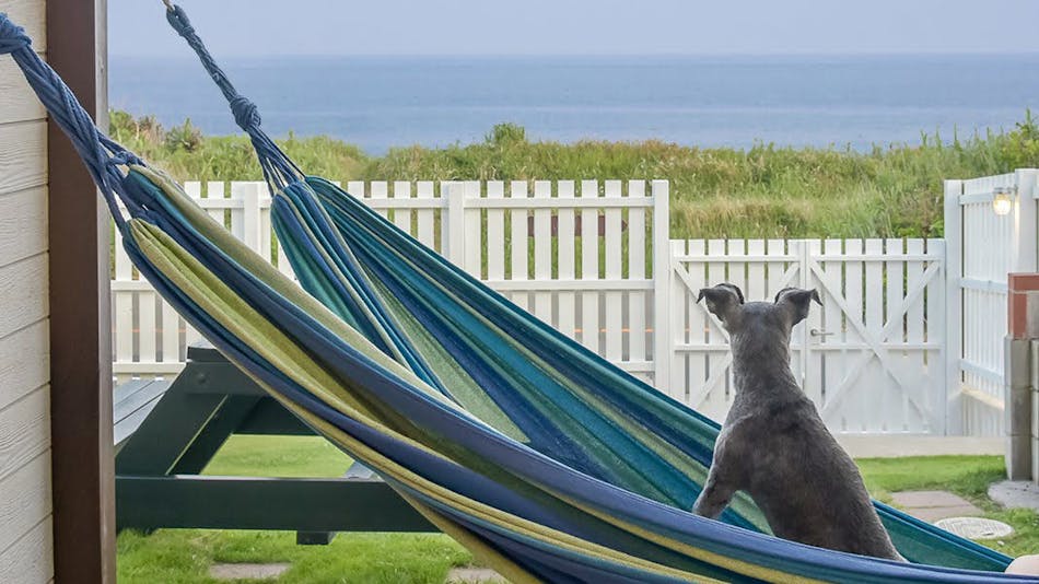 千葉のオーシャンビューのお部屋 評価の高いホテル 旅館 選 お得に宿泊予約 Yahoo トラベル 千葉のオーシャンビューのお部屋 評価の高いホテル 旅館 選 お得に宿泊予約 Yahoo トラベル
