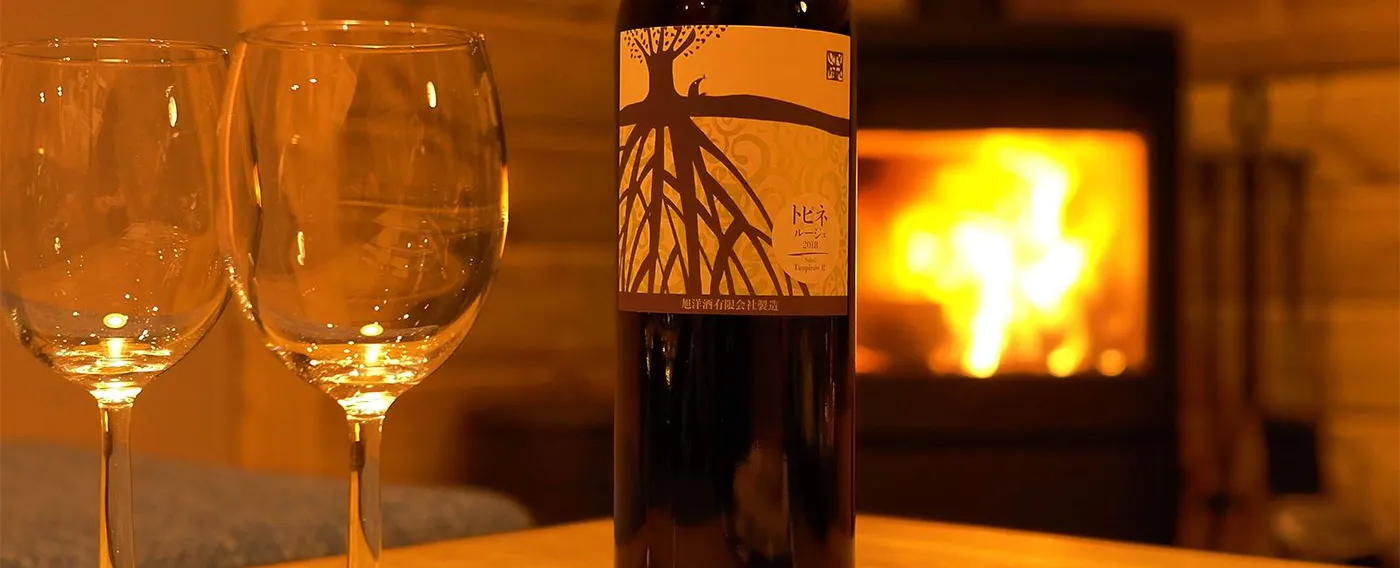 デンマーク製薪ストーブ