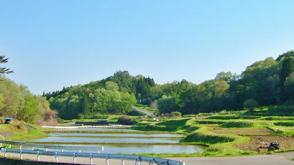 Iizuka Residence