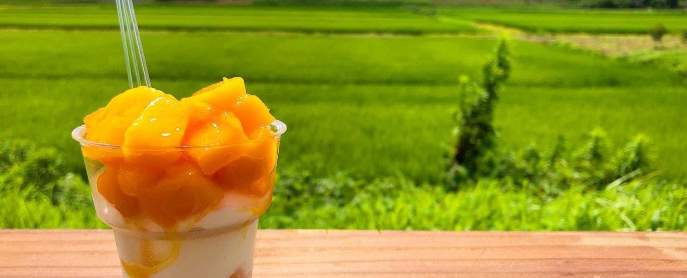 有形文化財ホテル 飯塚邸