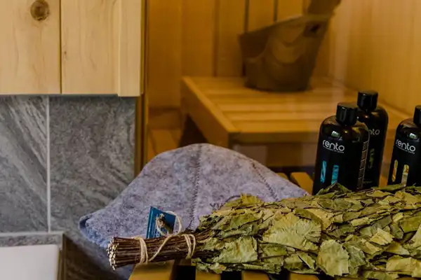 Sauna gaya Finlandia