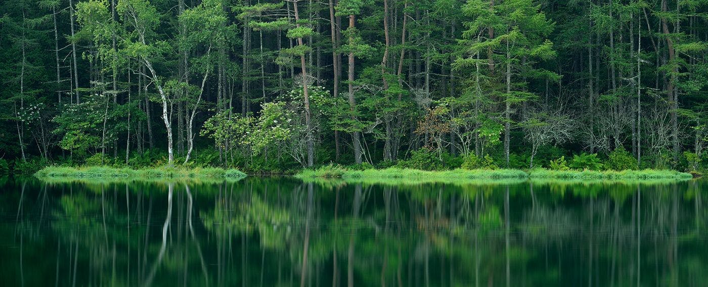 八ヶ岳の豊かな自然環境