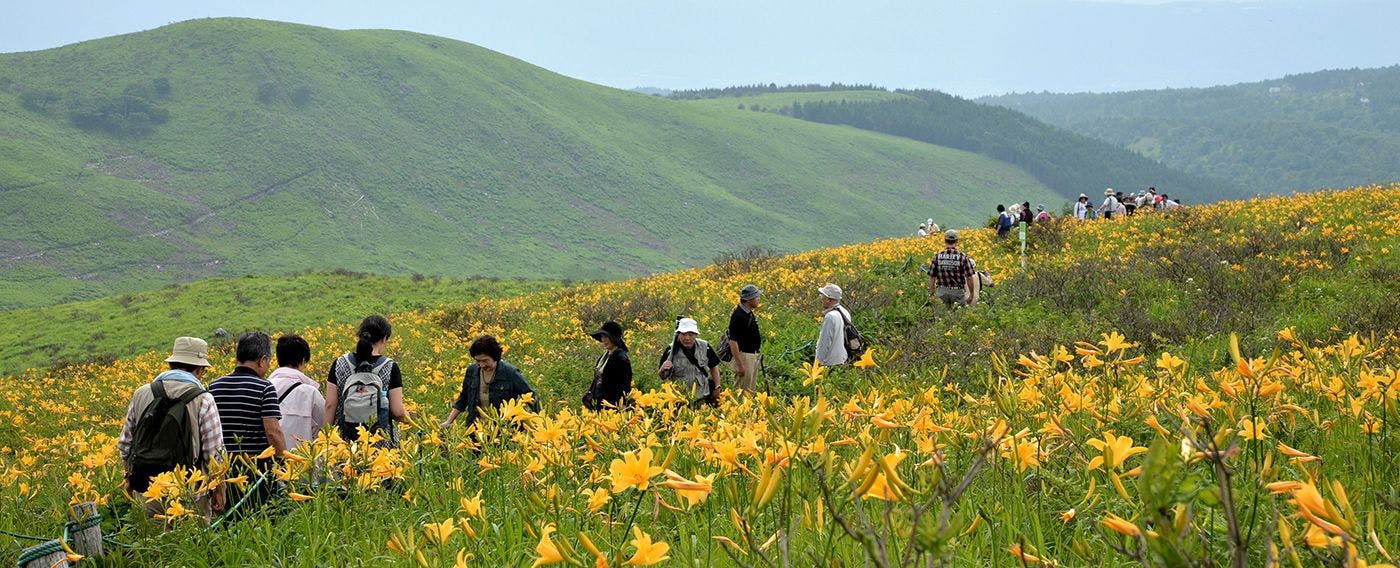 八ヶ岳の豊かな自然環境