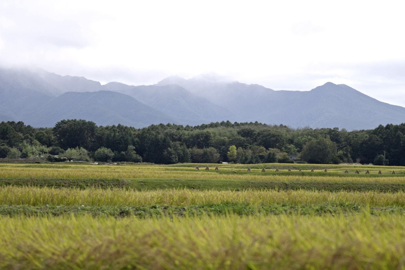 八ヶ岳の豊かな自然環境