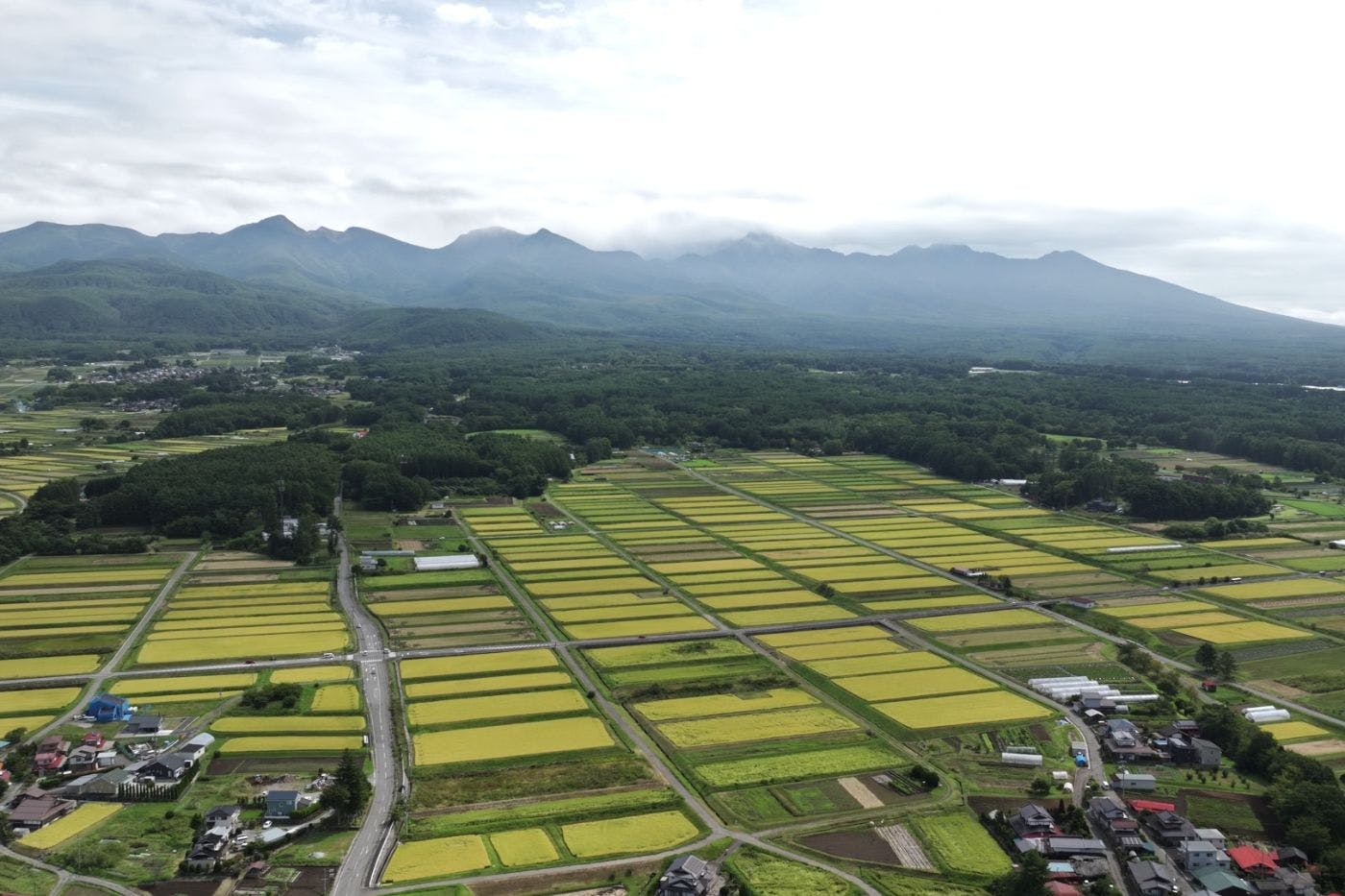 画像a_tp_06_260722.jpg