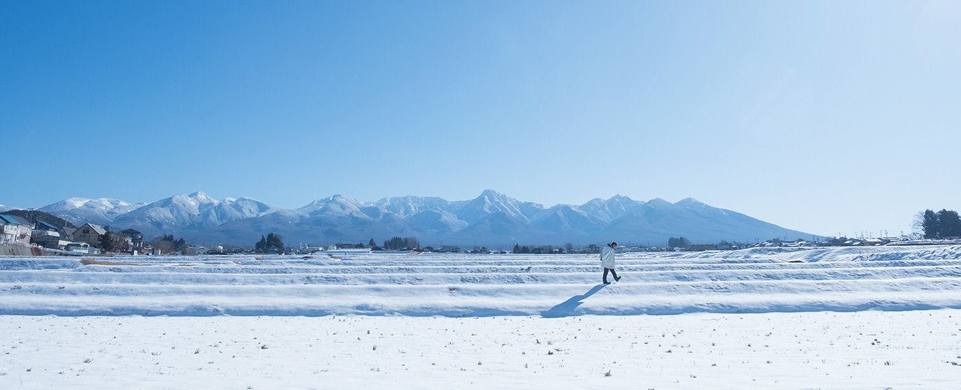 八ヶ岳の豊かな自然環境