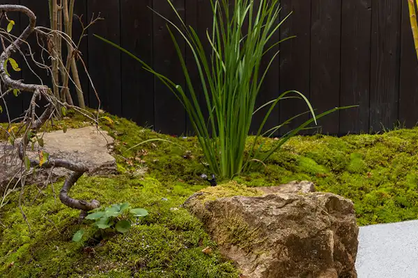 ภายในห้องพัก