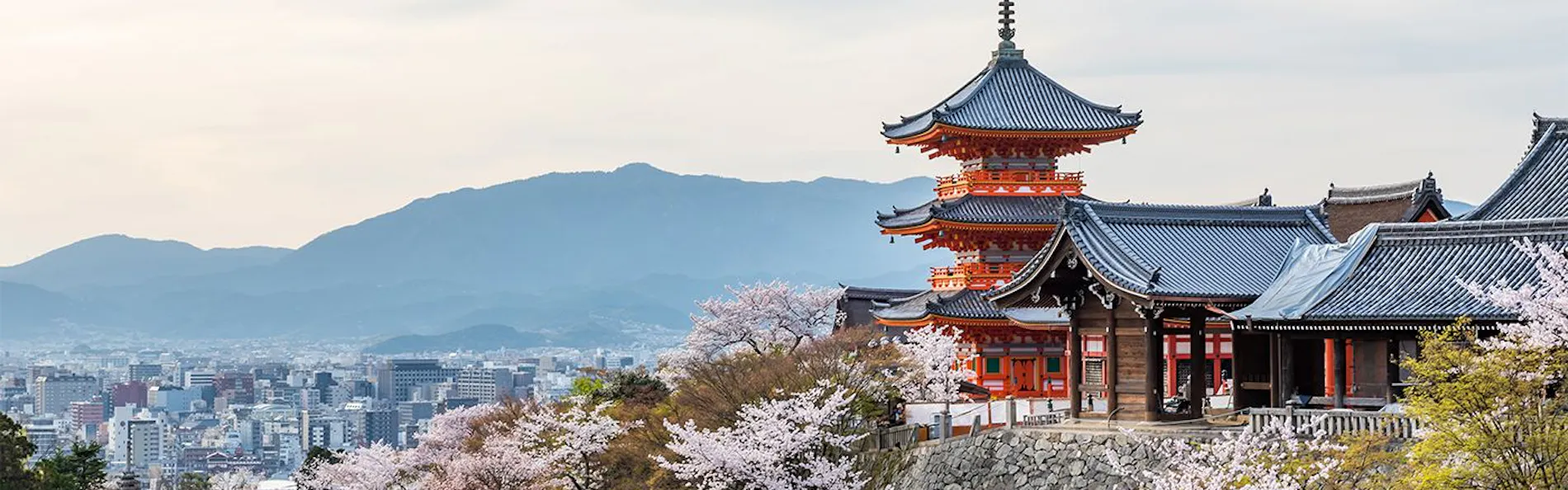 三十三間堂 宵の竹 - よいのたけ 〈一棟貸し町家〉