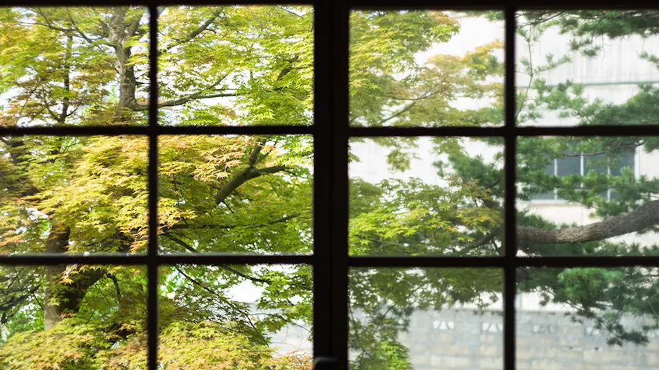 Kusaki Momotose