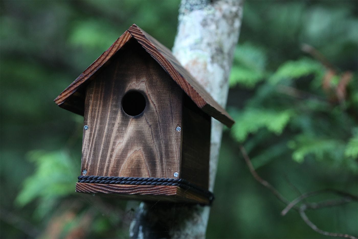 大自然に抱かれて