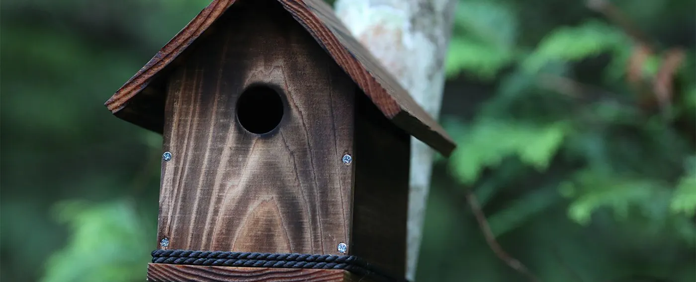 大自然に抱かれて