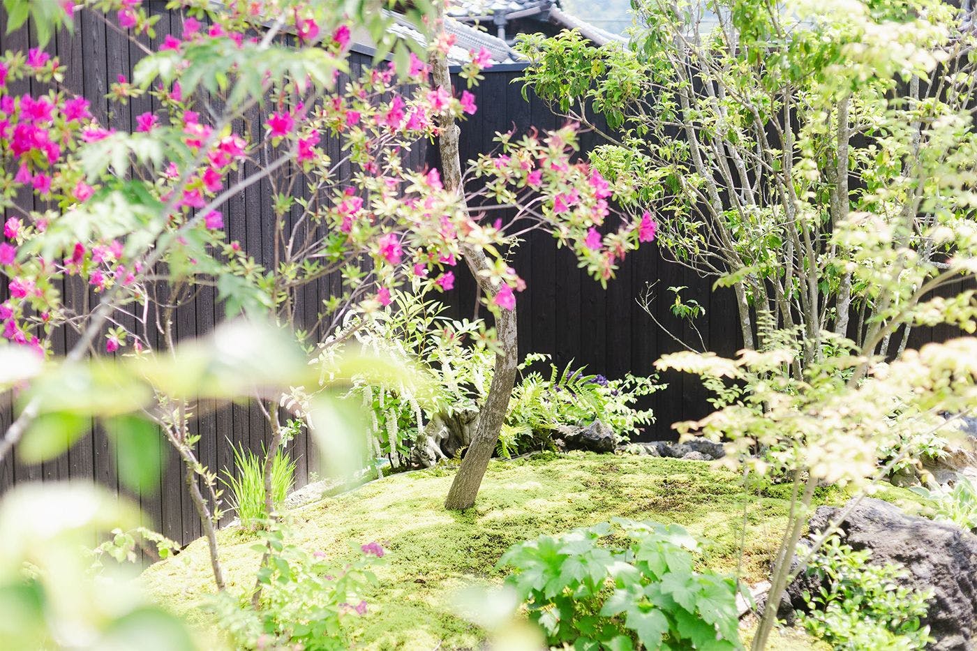 和久水