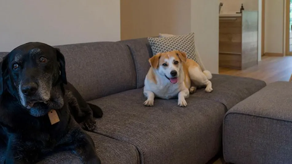 Rakuten STAY VILLA Kinugawa Riverside