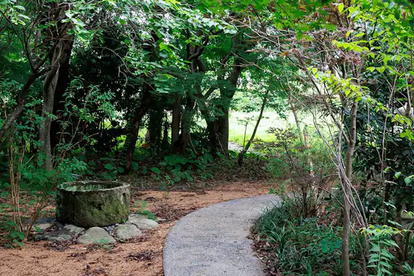 ทางเดิน