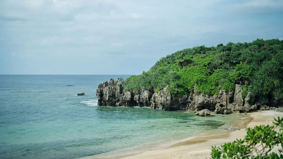 YAWN YARD Kouri Island