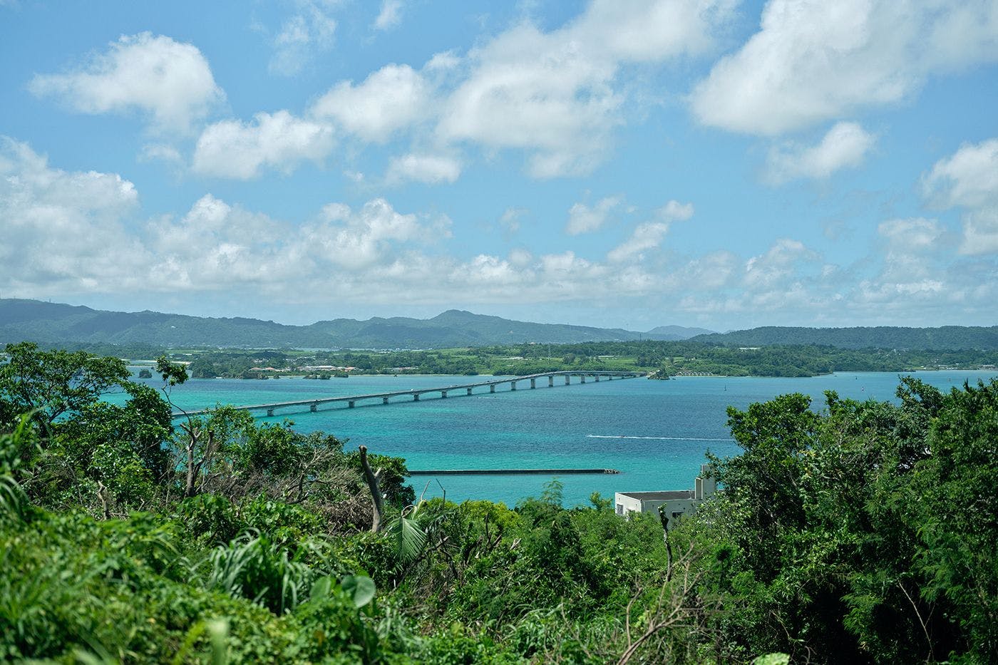 YAWN YARD Kouri Island