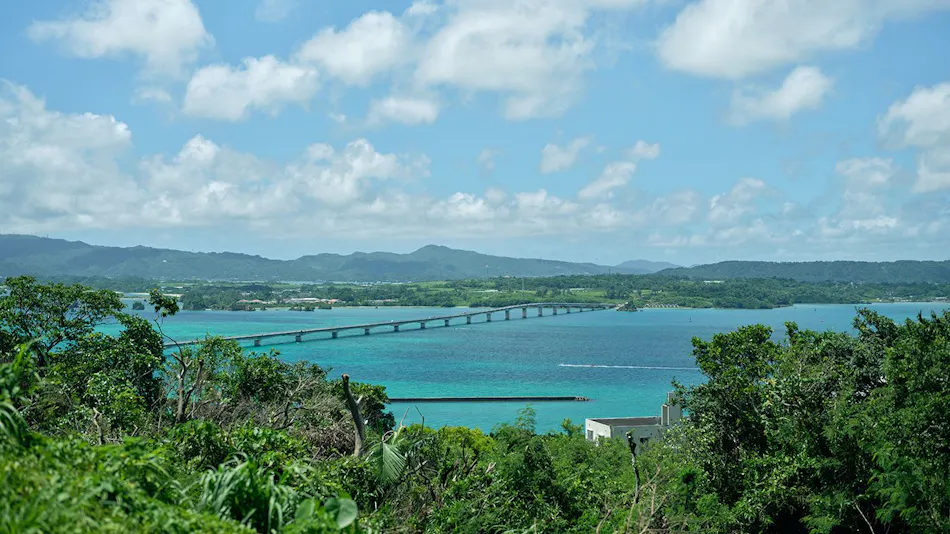 YAWN YARD Kouri Island